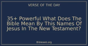 35+ Powerful What Does The Bible Mean By This Names Of Jesus In The New Testament?