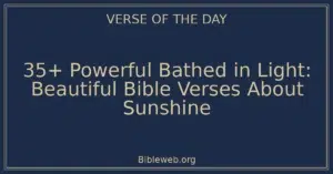 35+ Powerful Bathed in Light: Beautiful Bible Verses About Sunshine