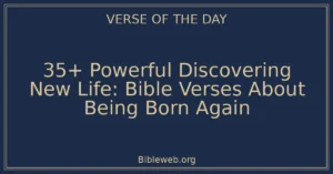 35+ Powerful Discovering New Life: Bible Verses About Being Born Again