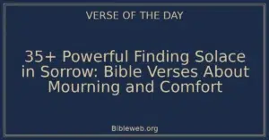 35+ Powerful Finding Solace in Sorrow: Bible Verses About Mourning and Comfort