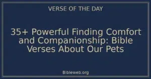 35+ Powerful Finding Comfort and Companionship: Bible Verses About Our Pets