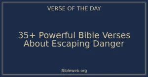 35+ Powerful Bible Verses About Escaping Danger