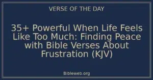 35+ Powerful When Life Feels Like Too Much: Finding Peace with Bible Verses About Frustration (KJV)