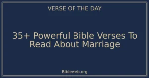 35+ Powerful Bible Verses To Read About Marriage