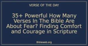 35+ Powerful How Many Verses In The Bible Are About Fear? Finding Comfort and Courage in Scripture
