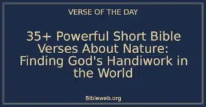 35+ Powerful Short Bible Verses About Nature: Finding God's Handiwork in the World