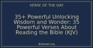 35+ Powerful Unlocking Wisdom and Wonder: 35 Powerful Verses About Reading the Bible (KJV)