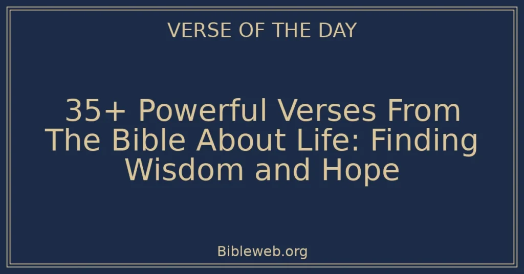 35+ Powerful Verses From The Bible About Life: Finding Wisdom and Hope