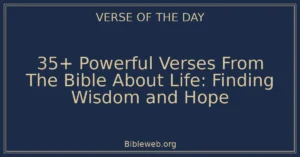 35+ Powerful Verses From The Bible About Life: Finding Wisdom and Hope