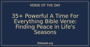 35+ Powerful A Time For Everything Bible Verse: Finding Peace in Life's Seasons