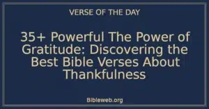 35+ Powerful The Power of Gratitude: Discovering the Best Bible Verses About Thankfulness