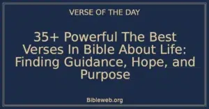 35+ Powerful The Best Verses In Bible About Life: Finding Guidance, Hope, and Purpose