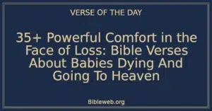 35+ Powerful Comfort in the Face of Loss: Bible Verses About Babies Dying And Going To Heaven
