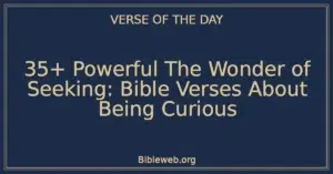 35+ Powerful The Wonder of Seeking: Bible Verses About Being Curious