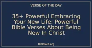 35+ Powerful Embracing Your New Life: Powerful Bible Verses About Being New In Christ