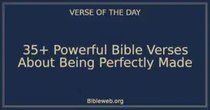 35+ Powerful Bible Verses About Being Perfectly Made