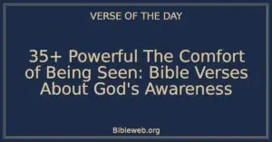 35+ Powerful The Comfort of Being Seen: Bible Verses About God's Awareness