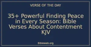 35+ Powerful Finding Peace in Every Season: Bible Verses About Contentment KJV