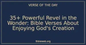 35+ Powerful Revel in the Wonder: Bible Verses About Enjoying God's Creation