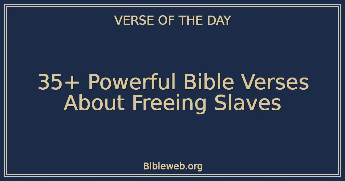 35+ Powerful Bible Verses About Freeing Slaves