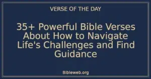 35+ Powerful Bible Verses About How to Navigate Life's Challenges and Find Guidance