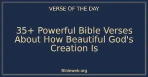 35+ Powerful Bible Verses About How Beautiful God's Creation Is
