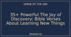 35+ Powerful The Joy of Discovery: Bible Verses About Learning New Things
