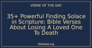 35+ Powerful Finding Solace in Scripture: Bible Verses About Losing A Loved One To Death
