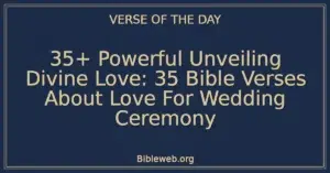 35+ Powerful Unveiling Divine Love: 35 Bible Verses About Love For Wedding Ceremony