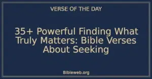 35+ Powerful Finding What Truly Matters: Bible Verses About Seeking