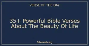 35+ Powerful Bible Verses About The Beauty Of Life
