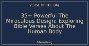35+ Powerful The Miraculous Design: Exploring Bible Verses About The Human Body