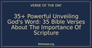 35+ Powerful Unveiling God's Word: 35 Bible Verses About The Importance Of Scripture