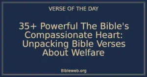 35+ Powerful The Bible's Compassionate Heart: Unpacking Bible Verses About Welfare
