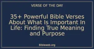 35+ Powerful Bible Verses About What Is Important In Life: Finding True Meaning and Purpose