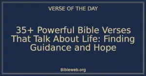 35+ Powerful Bible Verses That Talk About Life: Finding Guidance and Hope