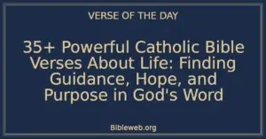 35+ Powerful Catholic Bible Verses About Life: Finding Guidance, Hope, and Purpose in God's Word