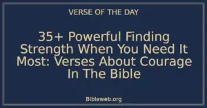 35+ Powerful Finding Strength When You Need It Most: Verses About Courage In The Bible