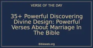 35+ Powerful Discovering Divine Design: Powerful Verses About Marriage In The Bible