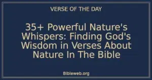 35+ Powerful Nature's Whispers: Finding God's Wisdom in Verses About Nature In The Bible