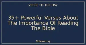 35+ Powerful Verses About The Importance Of Reading The Bible