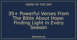 35+ Powerful Verses From The Bible About Hope: Finding Light in Every Season