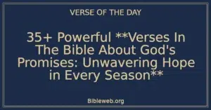35+ Powerful **Verses In The Bible About God's Promises: Unwavering Hope in Every Season**