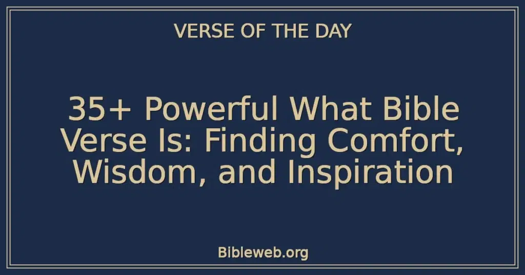 35+ Powerful What Bible Verse Is: Finding Comfort, Wisdom, and Inspiration