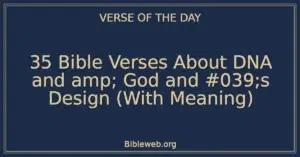 35 Bible Verses About DNA and God and Design (With Meaning)