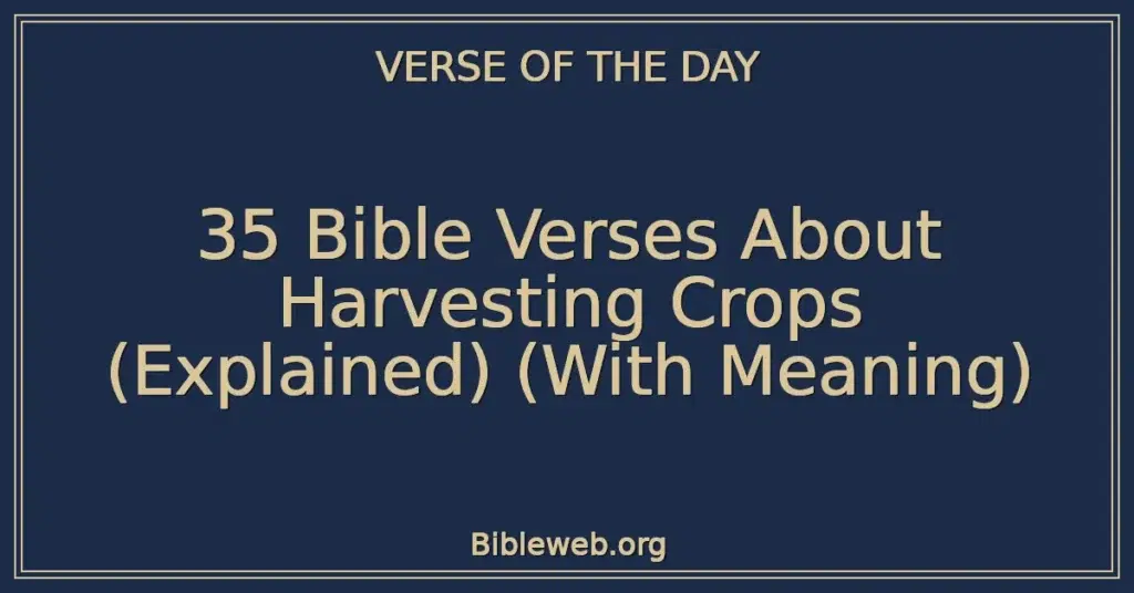35 Bible Verses About Harvesting Crops (Explained) (With Meaning)