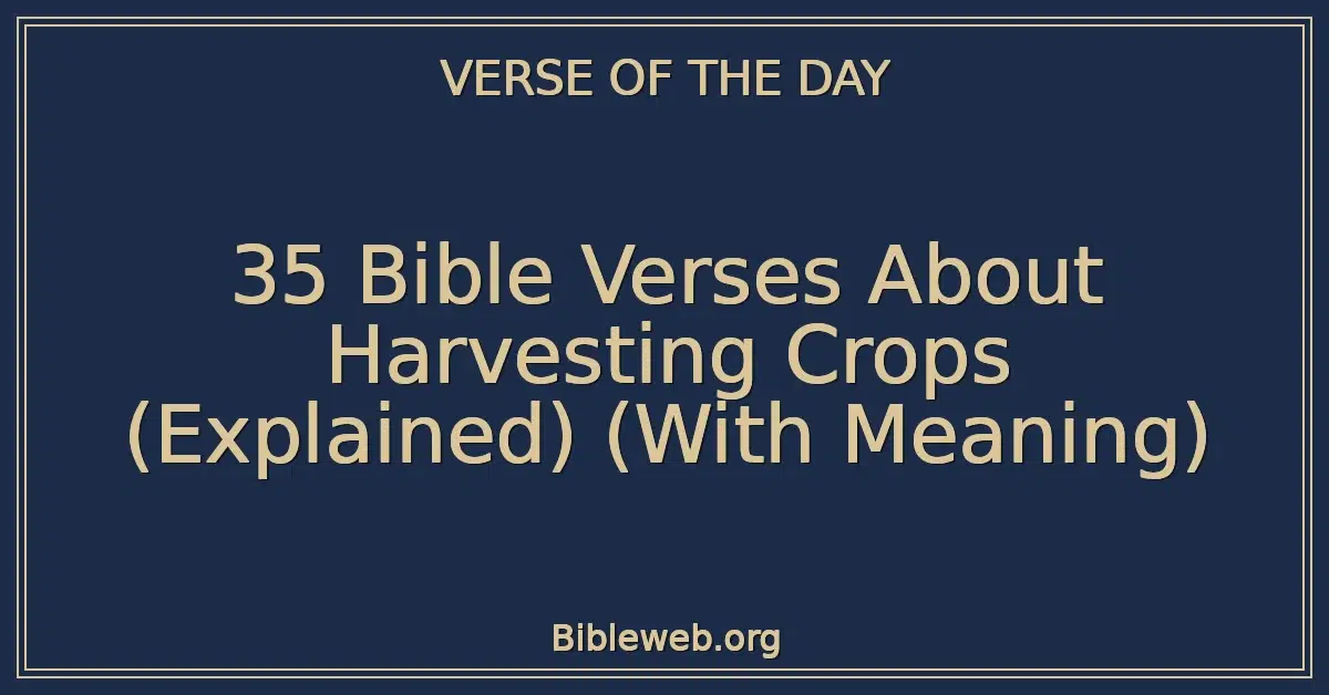35 Bible Verses About Harvesting Crops (Explained) (With Meaning)