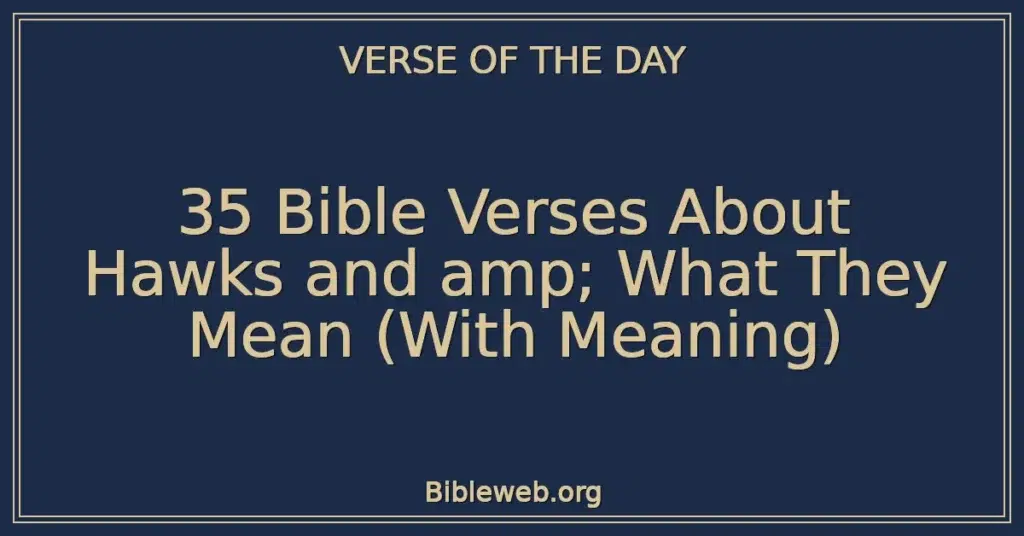 35 Bible Verses About Hawks and amp; What They Mean (With Meaning)