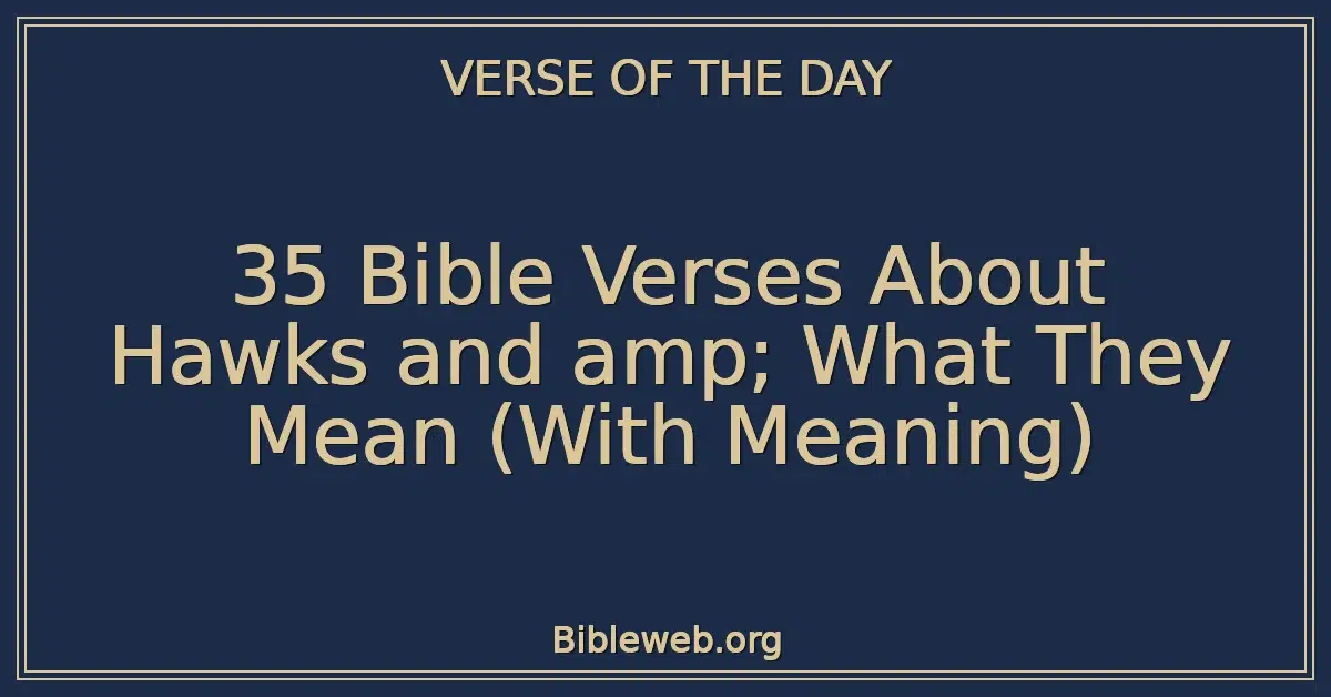 35 Bible Verses About Hawks and amp; What They Mean (With Meaning)
