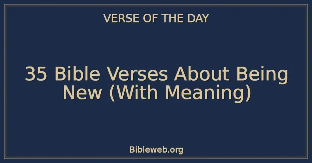 35 Bible Verses About Being New (With Meaning)